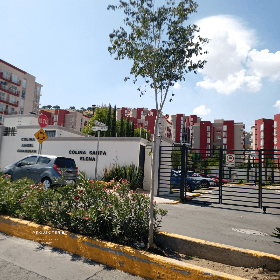 foto6