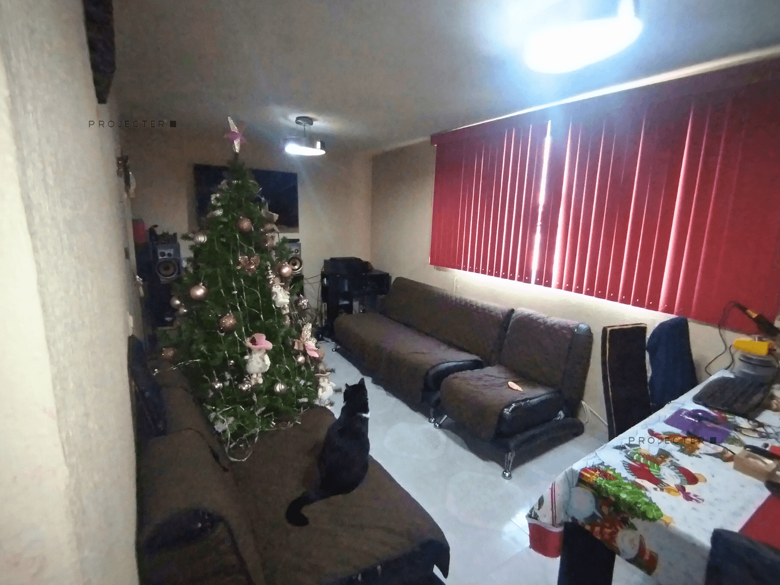 foto6