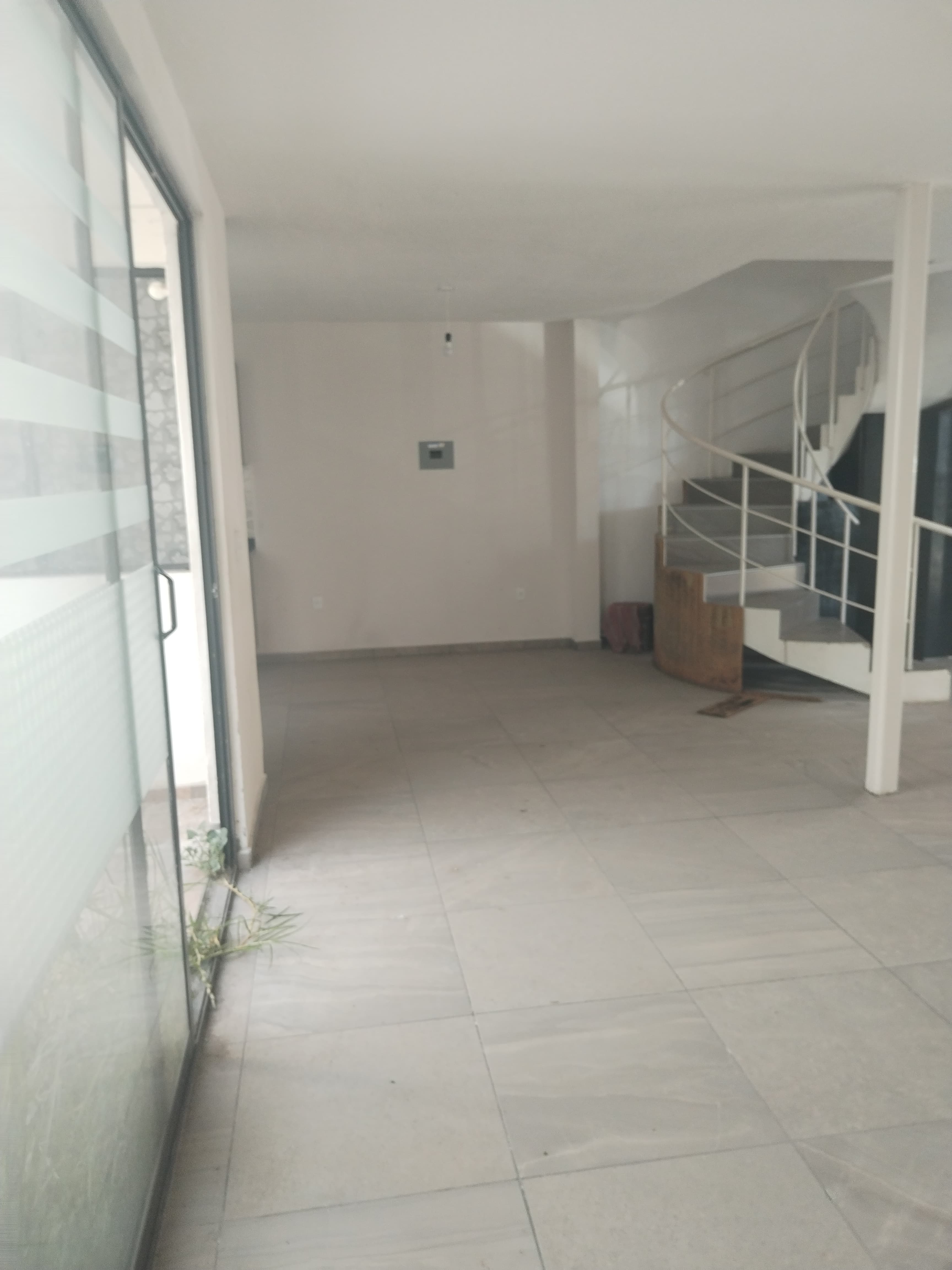 foto2